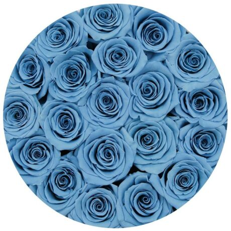 25 синих роз в шляпной коробке (сверху)