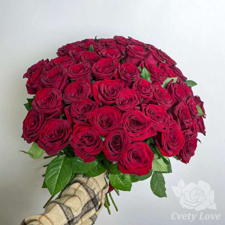 Букет из 51 красной розы под ленту