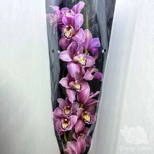 Ветка орхидеи поштучно
