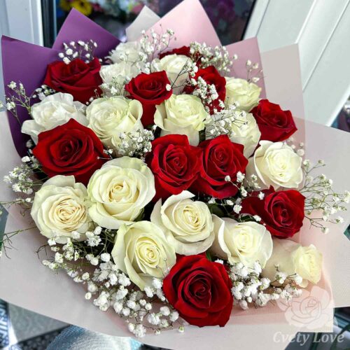 Букет из 25 красных и белых роз и гипсофилы